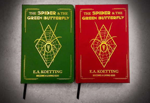 The Spider & The Green Butterfly - E.A. Koetting