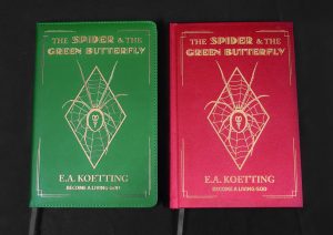 the-spider-and-the-green-butterfly-ea-koetting-cover