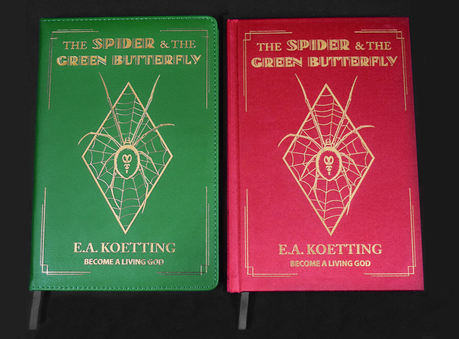 the-spider-green-butterfly-ea-koetting-newsletter