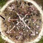 tab-master-key-consecration-ritual-3-compressor